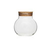 Pot hydroponique en verre transparent avec couvercle en liège, vase de propagation de plantes pour la maison, le bureau, la décoration de mariage