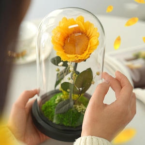 TC Unique, el Girasol Único en Cúpula de Cristal, Flor Preservada de Larga Duración para el Día de San Valentín, Regalo de Aniversario, Decoración del Hogar - Product Image 2
