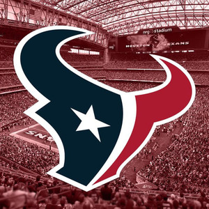 Trong Kho Houston <span class=keywords><strong>Texans</strong></span> Sắt Trên <span class=keywords><strong>C</strong></span>á<span class=keywords><strong>c</strong></span> Bản Vá Lỗi NFL Đội Bóng Đá Houston <span class=keywords><strong>Texans</strong></span> Logo Thương Hiệu Thể Thao Thêu Vá Cho Bóng Đá Jersey - Product Image 1