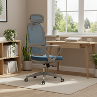 Chaise de bureau ergonomique moderne en maille pour le télétravail, certifiée avec vérin à gaz de classe 2, garantie 3 ans, base en acier, support lombaire réglable
