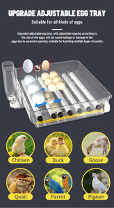 Baterias Novas e Mais Baratas para Incubadora de Ovos WONEGG, Bandeja para <span class=keywords><strong>88</strong></span> Ovos, Máquina de Incubação para 64 Ovos - Product Image 4