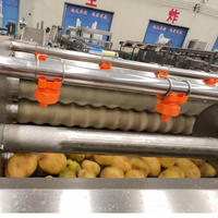 Hete LTK stabiele kwaliteit frietlijn automatische schil- en afvoerinstallatie hoge capaciteit fabrieksdirecte prijs aardappel groente chips