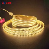 Atenuador exterior de alta calidad 220V SMD2835 120LED/M Dreamcolor Light Strings IP65 impermeable para Touch/App/Control remoto
