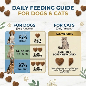 Suplemen Imunitas Kunyah Lembut untuk Anjing dan Kucing, Penunjang Kulit dan Bulu, Label Pribadi, Pemasok Grosir OEM - Product Image 5