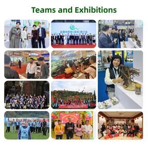 โรงงานผลิตผงสกัดกล้วยไม้ซาเลปคุณภาพสูง 100% จากธรรมชาติ ผงสกัดเดนโดรเบียม - Product Image 5