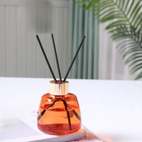 Bouteille en verre diffuseur Ln Stock 100ml 200ml bouteille diffuseur en verre bouteille diffuseur de mode