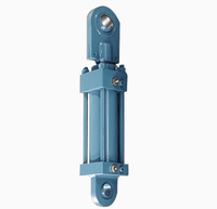 Vérin hydraulique en acier haute tonnage, sur mesure, diamètre intérieur 300 mm, course 2500 mm, chromé dur, usage intensif