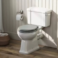 Ensemble de toilette d'hôtel de style européen moderne motif à double chasse et double drainage Plaque de couverture en bois coloré P-Trap Structure en deux pièces