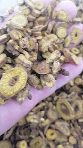 Huang Qin สมุนไพรรากเดียวแห้ง Scutellaria Baicalensis Georgi สำหรับใช้ทางการแพทย์ - Product Image 6