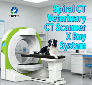 EURVET Appareil de Radiographie Stable, Scanner CT Vétérinaire, DR Statique et Dynamique, Équipement Hospitalier, Diagnostic Vétérinaire, CBCT - Product Image 1
