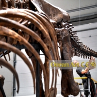 Botte de dinosaures, vente en gros