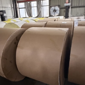 Rouleau géant de papier enduit de PE à largeur personnalisée, imperméable et résistant à l'huile, matière première pour la conversion en éventails de gobelets vierges - Product Image 6