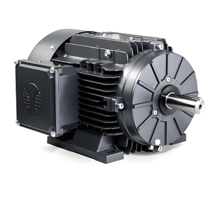 Motor Trifásico Innomotics de Hierro Fundido 380V/690V 2.2kw 7.5kw 11kw 22kw 45kw 90kw IP55 - Product Image 4