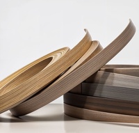 Bande de chantournage économique et pratique en PVC ABS pour le marché du mobilier des pays en développement