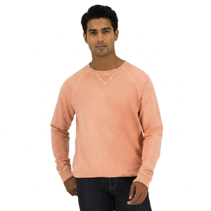 OEM Custom Men's Heavyweight <b>Sweatshirts</b> High Quality Cotton Polyester Casual Vintage Style Digital Printing Winter Hoodies - Product Image 1