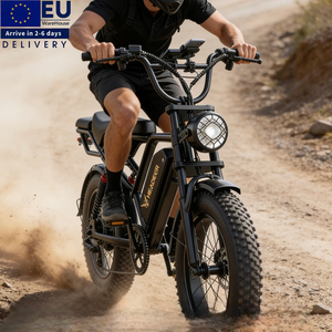 Bicicleta Eléctrica Fat Bike V20 de 20 Pulgadas con Neumáticos Anchos, 250W/750W, desde Almacén de la UE - Product Image 1
