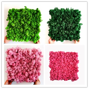 Erhalten <span class=keywords><strong>Rentier</strong></span> Moss Wand - Product Image 2