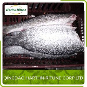 Meilleur Prix Tilapia Frais Congelé <span class=keywords><strong>Filet</strong></span> De Poissons - Product Image 1