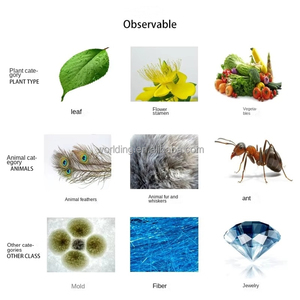 Strumenti per Apicoltura, Dispositivo per Inseminazione Artificiale delle Api Regine, Accoppiamento delle Api Regine, Dispositivo ad Alta Densità per l'Allevamento delle Api Regine con Microscopio - Product Image 5