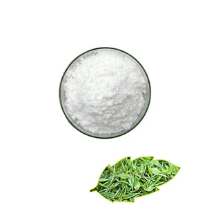 100% naturel extrait de thé vert épigallocatéchine gallate EGCG poudre - Product Image 1