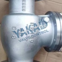Edelstahl-Rückschlagventil mit Flansch RF Klasse 150 PN16 für Industrielle Rohrleitungen und Pumpenauslassanlagen