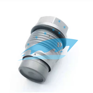 Válvula de alivio de presión 1110010016 Válvula limitadora 1110010016 - Product Image 2