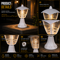 Lampadaire de jardin moderne pour extérieur avec diffuseur en acrylique transparent et cadre de protection décoratif