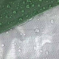 Bleu Pe Bâche Piscine Couverture Textile Toile Extérieure Bâche Étanche Anti-Uv Feuille De Plastique Hdpe Bâche Polyéthylène