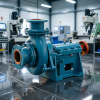 Pompe centrifuge horizontale à boues pour l'exploitation minière, haute résistance au chrome, OEM
