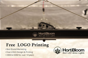 Gartenbau Top Licht Horti Bloom <span class=keywords><strong>Mega</strong></span> lm301 evo lm281 kommerzielles Wachstums licht Full Spectrum Gewächshaus Top Licht - Product Image 5