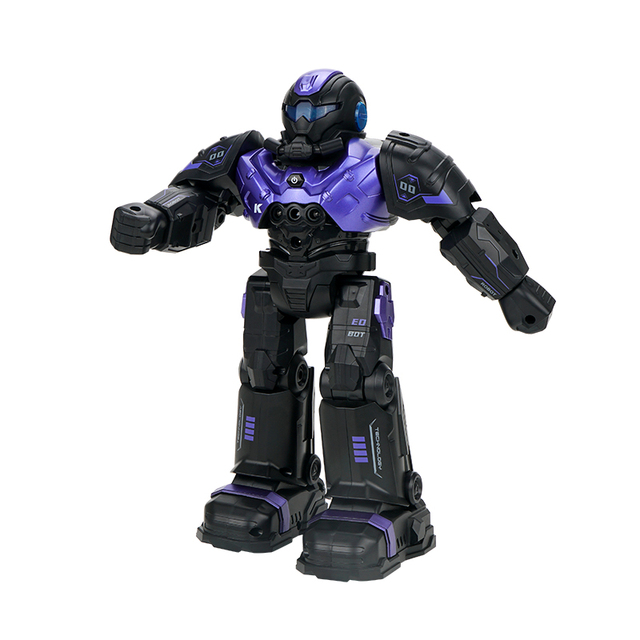 Flytec Newest RC Robot Toy Infrared Gesture Control CADY WIDA Smart Robot Dancing Robot Child Toys Hot Selling
