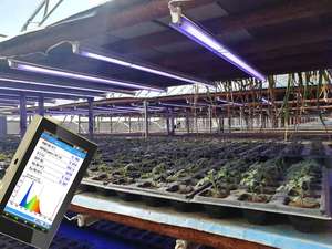 OHSP350P 350-800nm Par Mètre Spectromètre Portable Lumière Analyseur De Spectre - Product Image 2