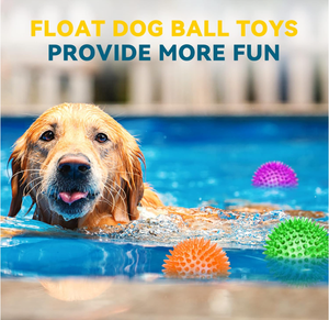 Balle de jeu pour <span class=keywords><strong>chien</strong></span>, balle à pression, balle de force pour renforcer la préhension, résistante pour les chiens de grande et petite taille, pour mâcher et soulager le <span class=keywords><strong>stress</strong></span> - Product Image 5