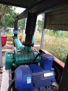 Souffleur de racines industrielles, 220V/380V/415V/440V/460V, vente en gros d'usine, avec un bon Service après-vente - Product Image 4