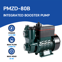 Pompe à eau potable intégrée automatique auto-amorçante 1HP 750W pour camping-car et camping, hauteur de levage 55m, hauteur d'aspiration 8m