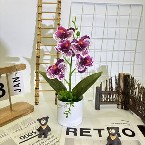 Fiore di <span class=keywords><strong>Orchidea</strong></span> Artificiale in <span class=keywords><strong>Vaso</strong></span>, Finta Phalaenopsis <span class=keywords><strong>con</strong></span> <span class=keywords><strong>Vaso</strong></span> in Plastica per Centrotavola, Decorazione Casa, Ufficio, Feste - Product Image 6