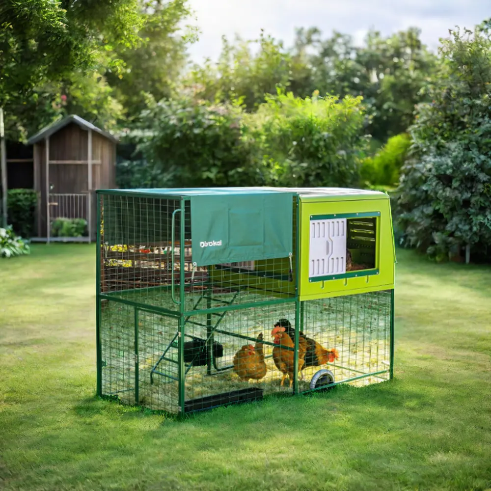 Petit poulailler mobile en métal pour l'extérieur Poulailler poules pondeuses à vendre Cage pour animaux de compagnie