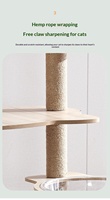 Nouvelle structure d'escalade électrique en bois pour chat, style capsule spatiale double, design mignon, maison pour animaux toutes saisons, motif solide, pour chats