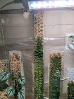 Poteau de support pour plantes grimpantes en plastique transparent PP de 12 pouces, taille mini, pour Monstera, Pothos, bâton de mousse réutilisable