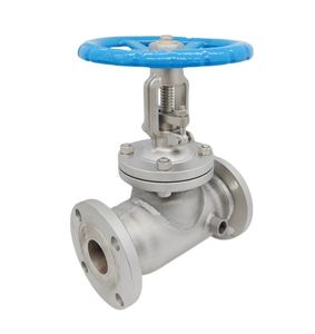 Válvula de Compuerta Manual con Brida de Acero Inoxidable 304 BZ41W-16P para Agua Caliente, Aislada para Altas Temperaturas, DN80 - Product Image 1