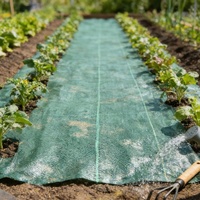 Membrane tissée en PP, couverture de sol en PE, filet anti-herbe, tissu anti-mauvaises herbes, film de paillage, plastique UV, plastique agricole