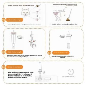 Elider Hunde-Morchel-Teststreifen für Hunde und Katzen zur äußerlichen Anwendung – <span class=keywords><strong>Test</strong></span> auf Coronavirus, Naseninfektion, Peritonitis und Hundestaupe - Product Image 5