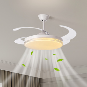 Ventilador De Techo Con Luz Ventilador De Techo De Diseño Ventilador De Techo Invisible Retráctil De 42 Pulgadas Con Luz Y Control Remoto - Product Image 2