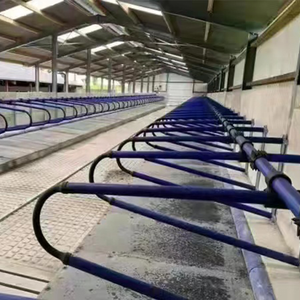 Conception <span class=keywords><strong>de</strong></span> boîtier pour bétail, <span class=keywords><strong>vache</strong></span> galvanisée à chaud, étal libre pour bétail, étal libre pour <span class=keywords><strong>vache</strong></span> - Product Image 3