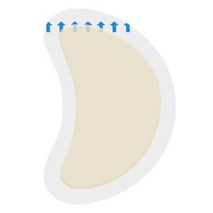 แผ่นไฮโดรคอลลอยด์ที่มองไม่เห็นแผ่นกันแรงเสียดทานแถบรัดส้นสูงช่วยในการรักษาแผลที่รวดเร็วการป้องกันแผลพุพองที่นิ้วเท้า - Product Image 4