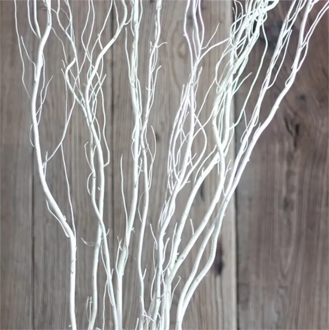 Tige de branche de saule bouclée séchée naturelle, branches d'arbre décoratives, 45 pouces de longueur 115 cm