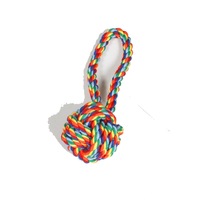 Jouet à mâcher durable en corde de coton arc-en-ciel pour chien avec nœuds, jouet de traction résistant à la mastication pour le nettoyage des dents des chiots et tailles assorties