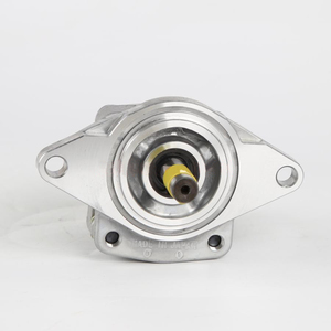 Pompe à engrenages hydraulique ZY Bombas série High YP YP10 YP15 YP10-3D2H2-L YP10-3A2H2-R YP10-5A2H2-R YP10-7D2D2-L - Product Image 6