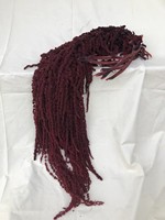 Natürlich Konservierte Amaranth-Hängeblumenstiele Getrocknete Botanische Sprühe für Hochzeits- und Eventdekoration