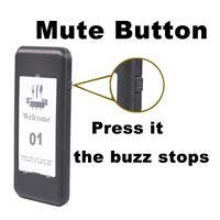Pager certifié sans fil lumière rouge 10 appel récepteur son sonnerie bouton fabricant Restaurant appelant pour café camion de nourriture